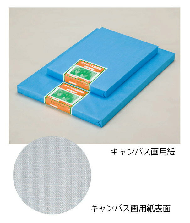 【直送品・代引き不可】【保育園・学校用紙及び器材】キャンバス画用紙/特厚・8切・100枚