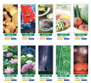 【旗・幕・のぼり】【タペストリー(受注生産品)】タペストリー(防炎加工品)・盛夏編(3)