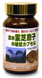 楽天eshopヤマックス【送料無料】【健康食品】【15:00迄の注文は当日発送】【霊芝の75倍の威力】　原木霊芝胞子カプセルfs04gm