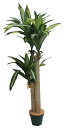 【店舗・イベント用品】【グリーン(観葉植物)】ドラセナツリー128cm