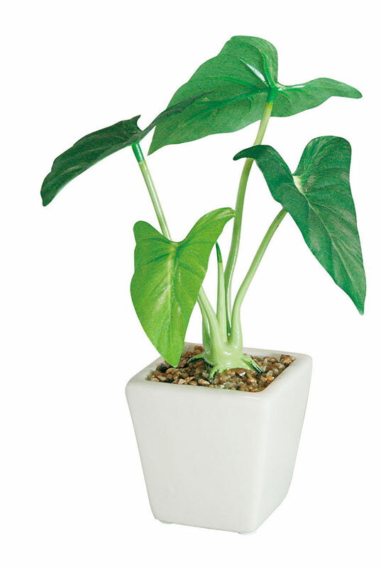 【店舗・イベント用品】【グリーン(観葉植物)】タロポット・12個セット