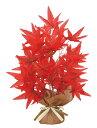 【店舗・イベント用品】【秋】【紅葉】キュートラップ紅葉・12本セット
