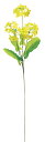 【店舗・イベント用品】【季節別ディスプレイ】【春】【菜の花】菜の花4輪付×36本