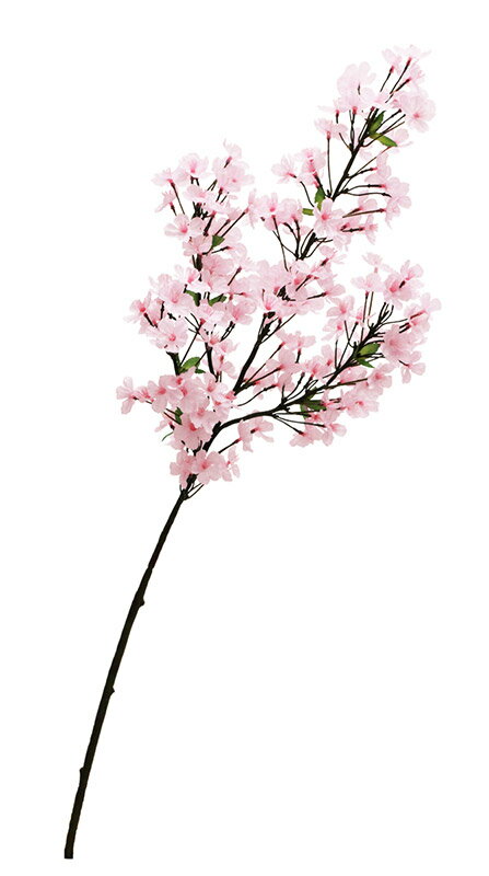 Źޡ٥ʡۡڵ̥ǥץ쥤ۡڽաۡں۾֥12ܥå
