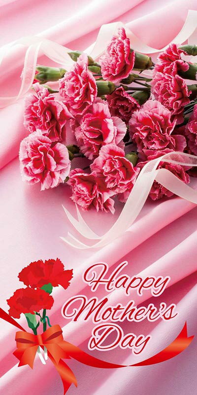 【店舗・イベント用品】【季節別ディスプレイ】【春】タペストリー・母の日(防炎加工)