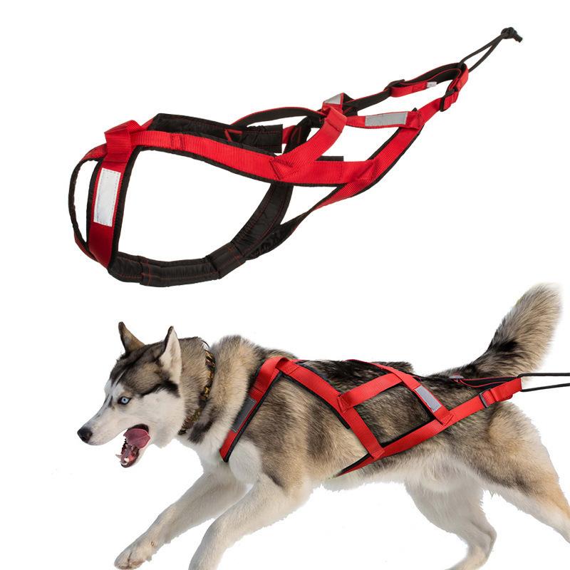 樂天商城 - レッド ブルー 犬用牽引ベルト ナイロン 雪橇牽引 負荷訓練 スキー リードセット ハスキー L サモエド アウトドア M スノーボード 犬用ハーネス ブラック XL XXL XXXL