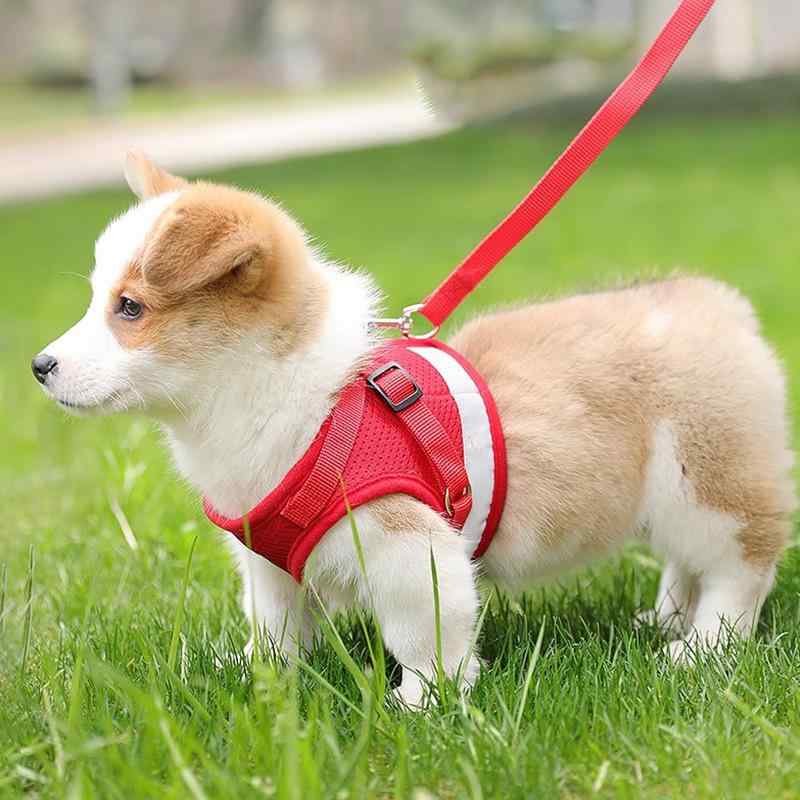 Rakuten - S 散歩 青 セット 赤 ペット用品 牽引ロープ M 犬用 中型犬 小型犬 リード XS ハーネス 胴輪 XL L 黒 グレー 猫