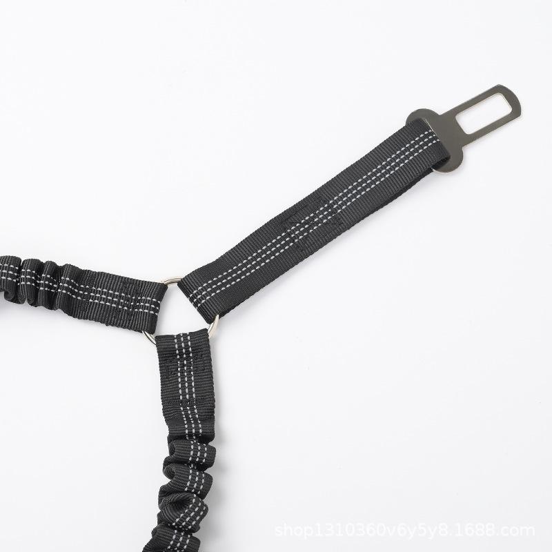 ペット用リード ナイロン製 二頭引き 伸縮リード 丈夫 散歩用 絡まない 小型犬 反射材 お出かけ用 大型犬