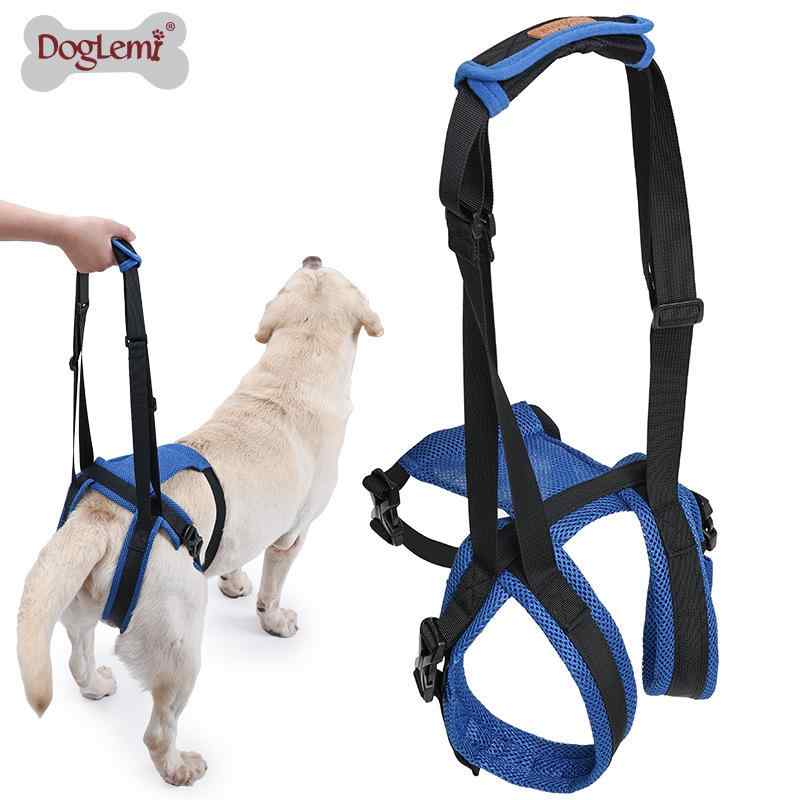 �֥롼 ��������ϡ��ͥ� �����夲 Ĵ���ǽ Ϸ�� XL(x5) M ������ S ��ϥӥ� ������ �ݥꥨ���ƥ� ���� L ������ ����� ���ݡ��� ���­