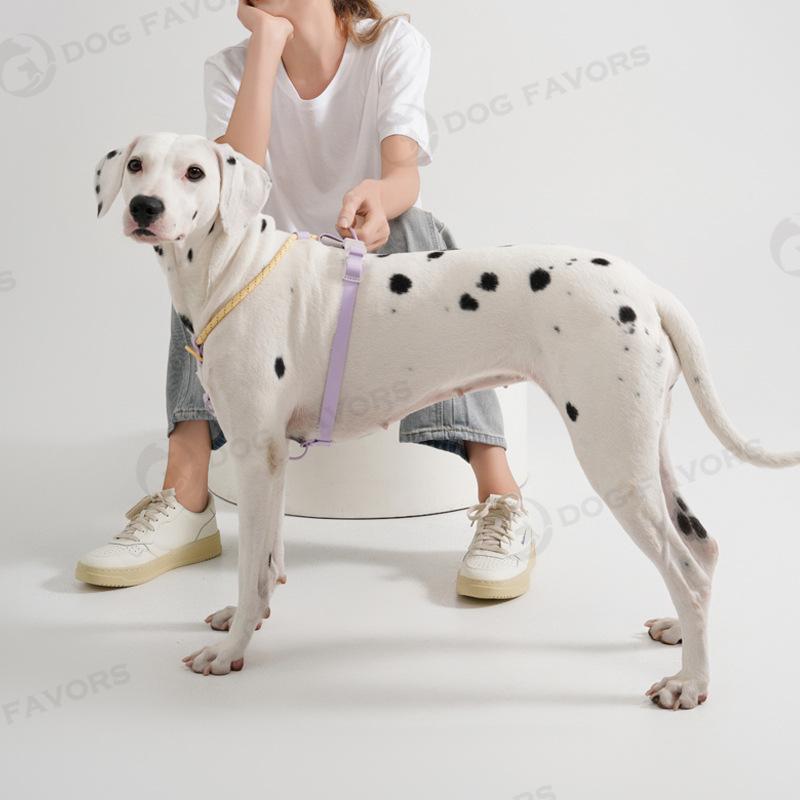 散歩用 ペット用 小型犬 犬具 ハーネス リード 胴輪 中型犬 首輪 PVC製 セット ナイロン