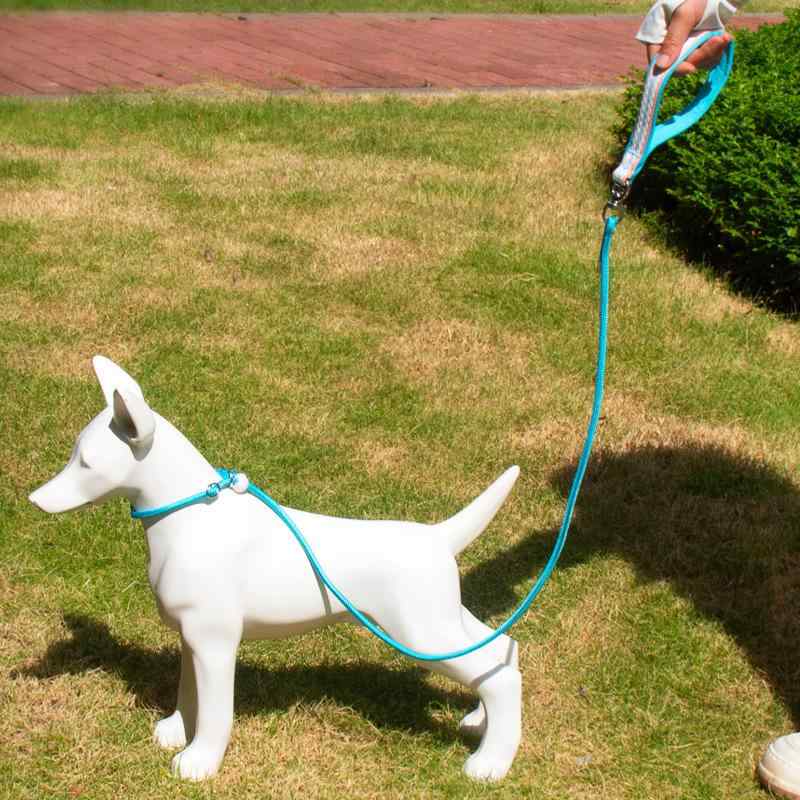 Rakuten - Pチェーン 小型犬 中型犬 犬用 絡まり防止 ナイロン製 牽引ロープ 桃粉色 散歩用 しつけ用 翠?色 レモンイエロー P型 天藍色