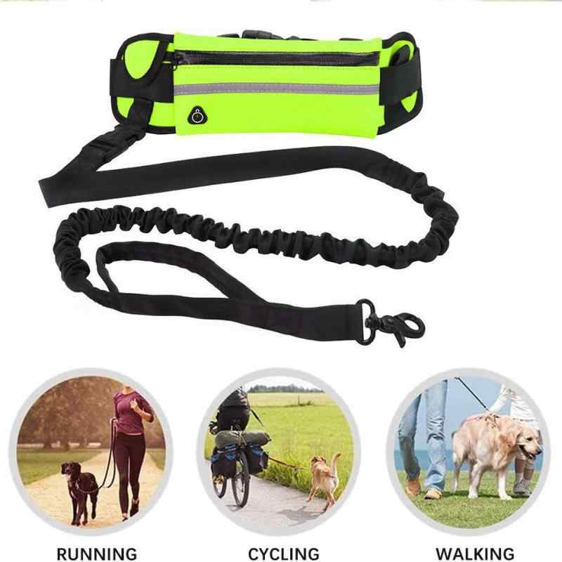 Rakuten - 散歩 犬 牽引ロープ イエロー 小型犬 ランニング ペット用 ブラック 伸縮リード ジョギング ブルー ウエストポーチ 中型犬 反射素材 オレンジ レッド 大型犬 衝撃吸収