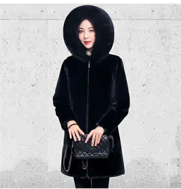 �������� �ե��������� ���� �֥륾�� �⤳�⤳ �ɴ� �ե������ե��� �� ��ǥ����� �ա����դ� ������ �⤳�⤳��