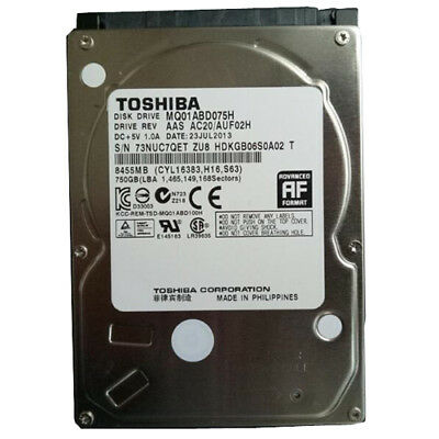 東芝 TOSHIBA 内蔵 ハイブリッドドラ