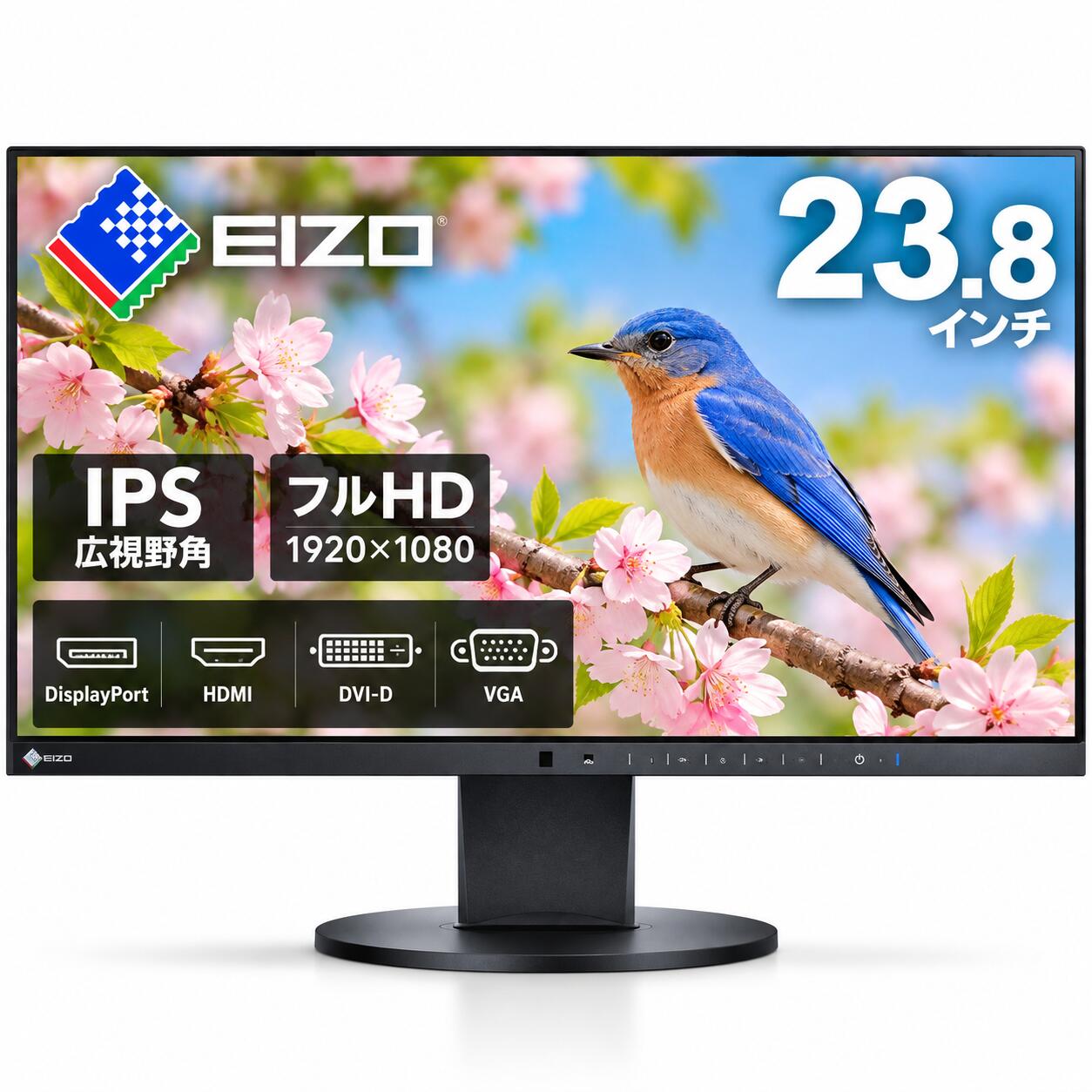 楽天市場】eizo ev2450の通販