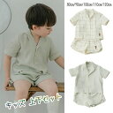子供服 パジャマ 女の子 男の子 半袖/ハーフパンツ 上下セット 綿 ルームウェア キッズ 部屋着 夏服 前開き ボーイズ ガールズ ルームウェア Tシャツ 半ズボン 部屋着 春 夏 秋 80cm/90cm/100cm/110cm/120cm(4)
