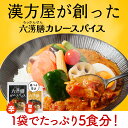 薬膳カレースパイス六漢膳【初回限定】漢方屋が創った本格スパイス 6種類の生薬+30種類のスパイス配合カレー 5食入 漢方カレー