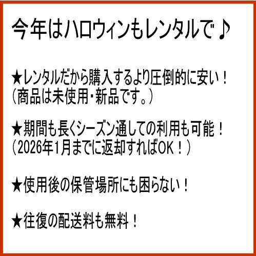 【レンタル】ラタンモチーフライト ウィッチハット ハロウィン