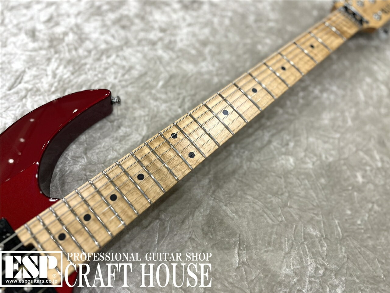 【ESP直営店】【即納可能】Killer KG-Fascist ′23 / Delicious red[エレキギター、guitar] 3