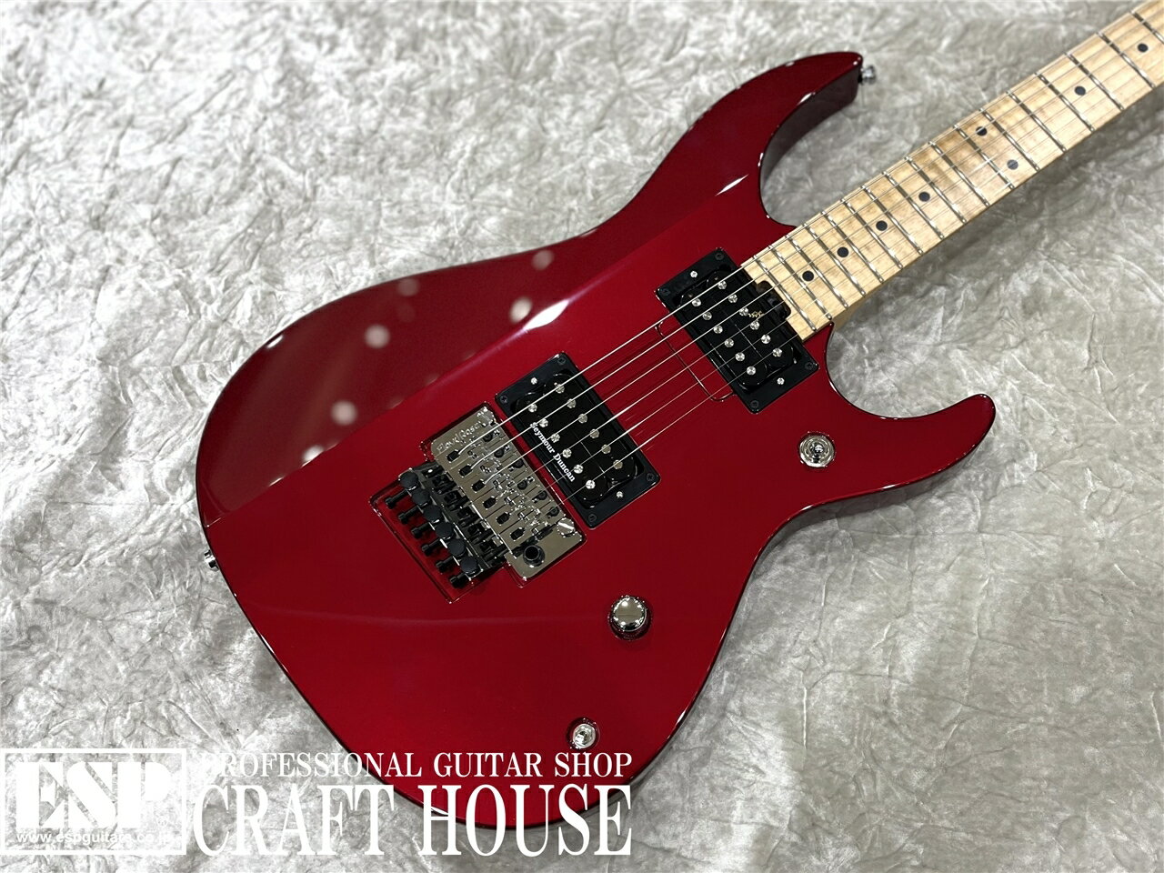 【ESP直営店】【即納可能】Killer KG-Fascist ′23 / Delicious red[エレキギター、guitar] 2