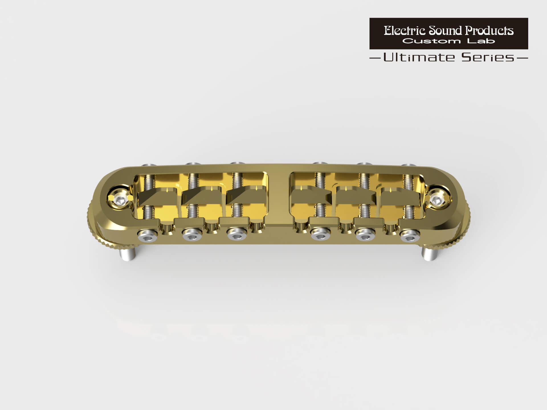 【ESP直営店】【ESP Parts】［ESP Custom Lab］ESP TM20 Brass -Define- Gold［カスタムラボ/パーツ/アルティメイトシリーズ/6弦用/ブラック]