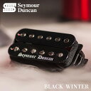 yESPcXzSeymour Duncan 