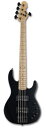 【ESP直営店】ESP AP-SL5 / Maple Fingerboard / Black Satin【受注生産】