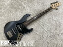 【ESP直営店】【即納可能】GrassRoots G-AMAZE-5-DX / Black Satin