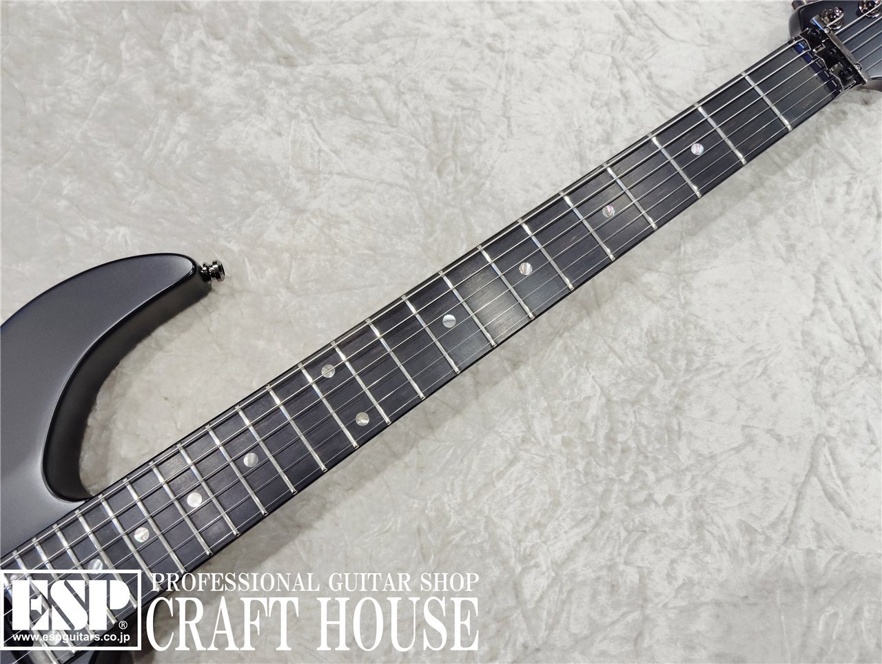 【ESP直営店】【即納可能】Killer KG-Fascist Vice II BIB ′24 / Black Satin[エレキギター、guitar]