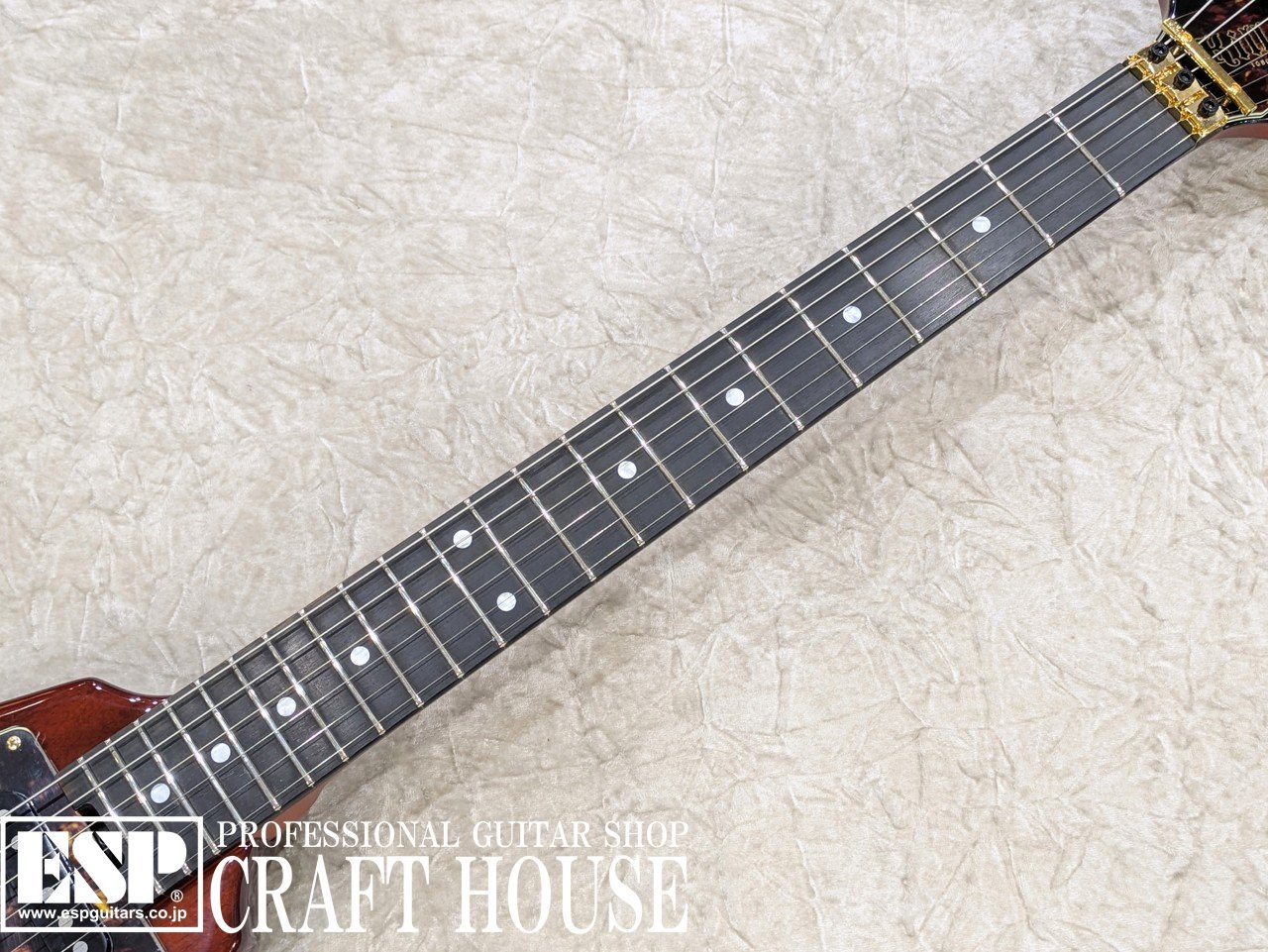 【ESP直営店】Killer【即納可能】Killer KG-Villain'25 / Antique Brown[エレキギ...