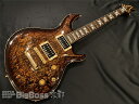 yESPcXzy[\zESP(C[GXs[) MYSTIQUE-CTM NT Burled Maple / Brown Burst[BIGBOSSs蔭]