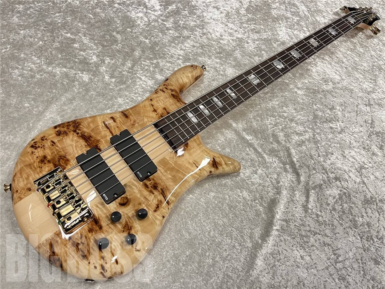 【即納可能】Spector（スペクター）LX Poplar Burl（Natural Gloss）【ESP直営店】[BIGBOSS名古屋より発送]