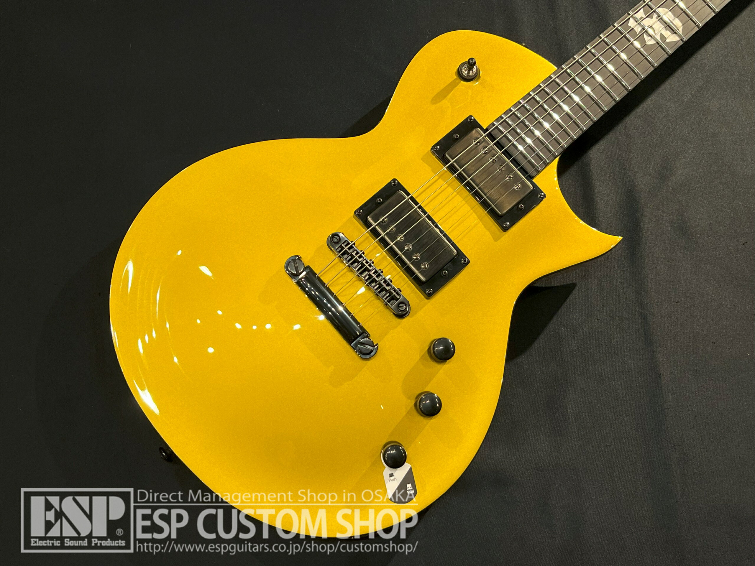 【ESP直営店】【即納可能】LTD(エルティーディー) EC-2025 50th Anniversary / Met...