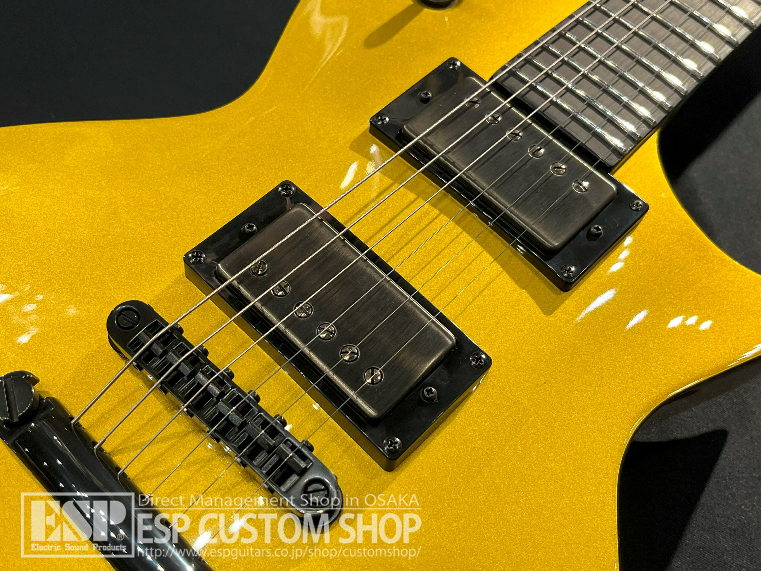 【ESP直営店】【即納可能】LTD(エルティーディー) EC-2025 50th Anniversary / Met...