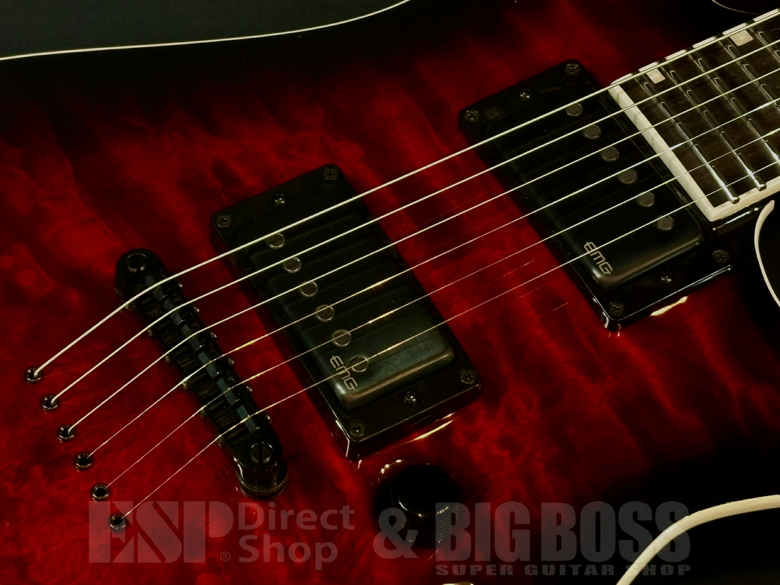 【ESP直営店】【即納可能】E-II E-II HORIZON NT-II / See Thru Black Cherry Sunb...