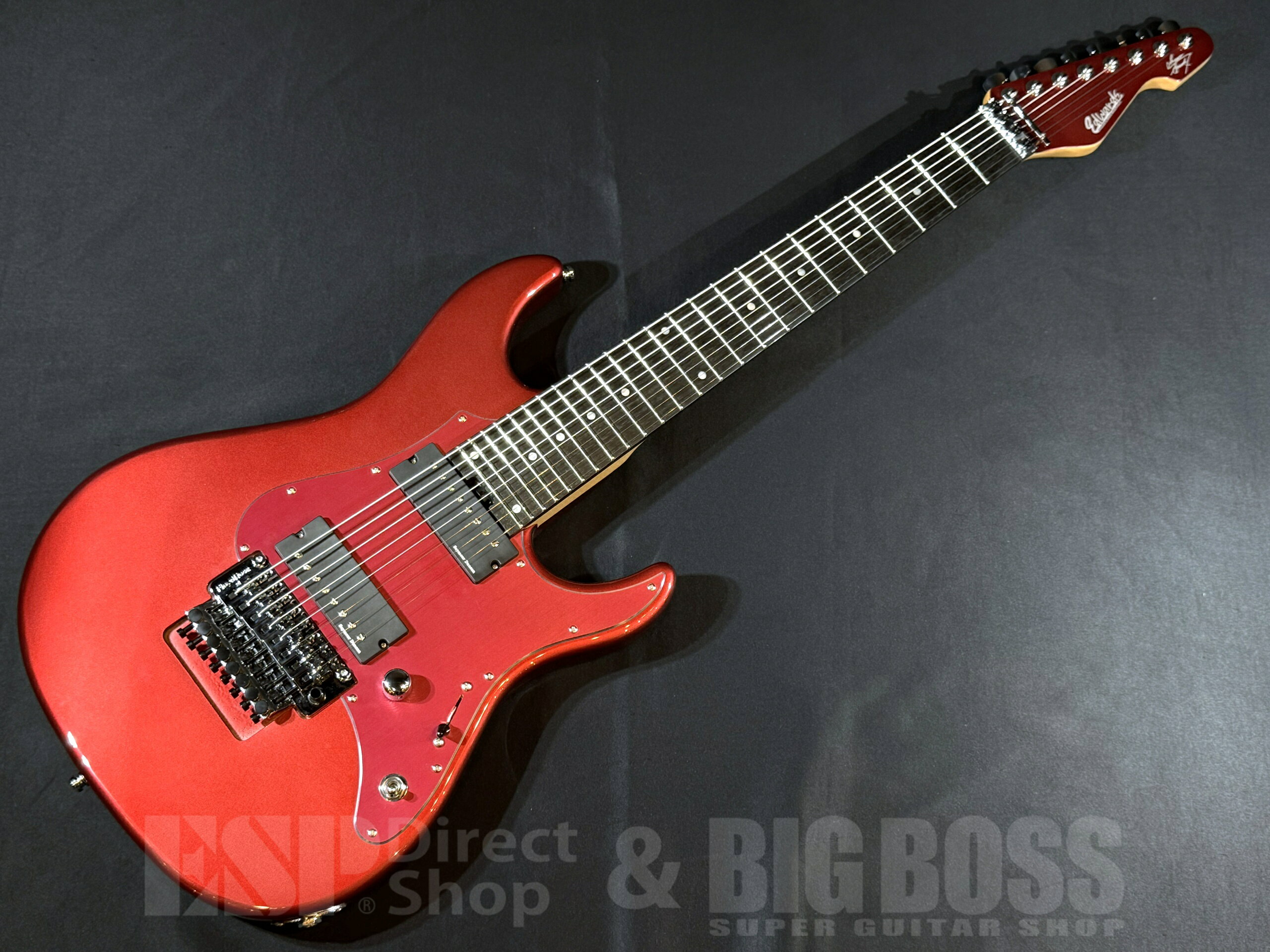 EDWARDS EDWARDS E-SNAPPER-8 ISAO Custom 