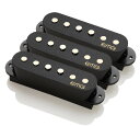 【ESP直営店】【お取り寄せ商品】EMG SV SET 【正規輸入品】