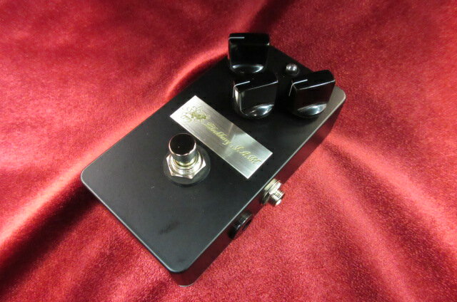 【ESP直営店】Blackberry JAM / Blackberry[エフェクター、effectspedal]