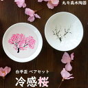 冷感桜 平盃 ペア グラス 色が変わる 父の日プレゼント 70代 ギフト 冷酒グラス 盃 杯 冷酒 結婚祝 退職祝 敬老の日お餞別 伝統工芸・陶器の和遊感