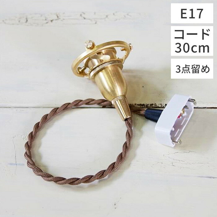 AXCIS アクシス/Homestead 照明 ペンダント E17用 BR 30cm E17 ペンダント灯具 HS1852