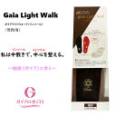 【正規代理店】ガイアライトウォーク Gaia Light Walk インソール 衝撃吸収 メンズ ガイアライト