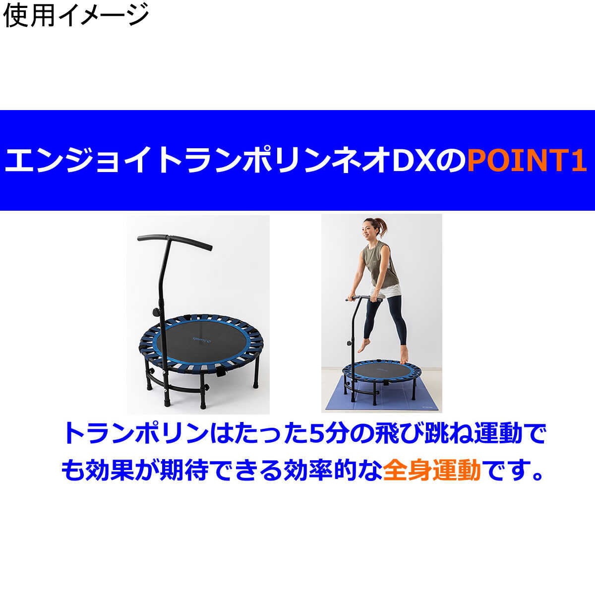ナマラ Namala 室内用トランポリン エンジョイトランポリンネオDX NA6777