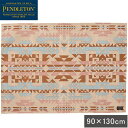 yhg PENDLETON Lb`}bg Lb`[WTCY}bg MC003 Kitchen Large Mat Ip[XvOXx[W 19804261621000