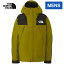 ザ・ノース・フェイス ノースフェイス メンズ マウンテンジャケット Mountain Jacket サルファーモス NP61800 SM THE NORTH FACE アウター