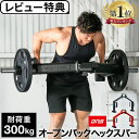 ★10%OFFクーポンあり 24〜25日★【楽天1位】ヘックスバー ブラック/パッションレッドDNSコラボ LE-HB100/DNS-HB100 リーディングエ...