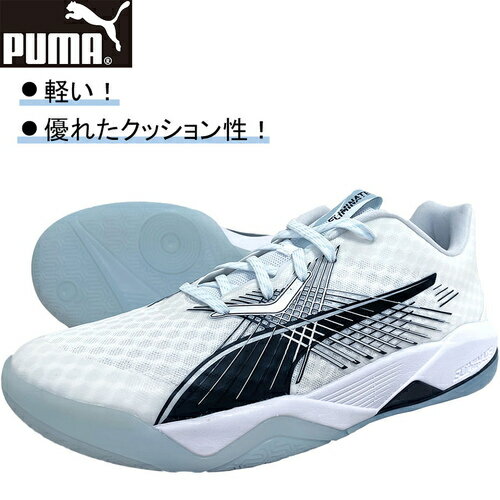 プーマ PUMA メンズ レディース ハンドボールシューズ 