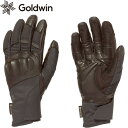 S[hEC GOLDWIN Y fB[X SAebNX V[C[ Rg[ O[u GORE-TEX CE Control Gloves ubN GB63382 BK