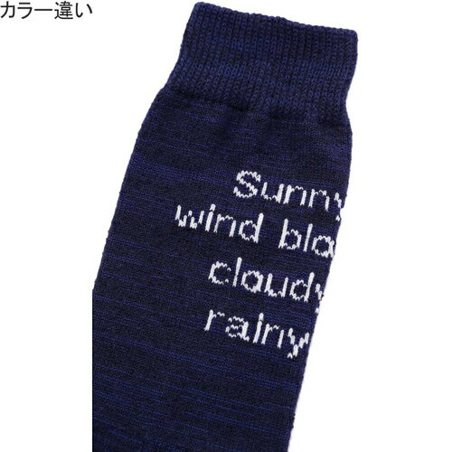 アンドワンダー and wander メンズ レディース PE/CO パイルソックス PE/CO pile socks ブラック 5743188168 3