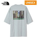 UEm[XEtFCX m[XtFCX Y fB[X TVc V[gX[uZ~eV[i[eB[ S/S Yosemite Scenery Tee ~bNXO[ NT32436 ZZ