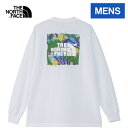 UEm[XEtFCX m[XtFCX Y TVc OX[uTNFoOt[eB[ L/S TNF Bug Free Tee zCg NT12450 W